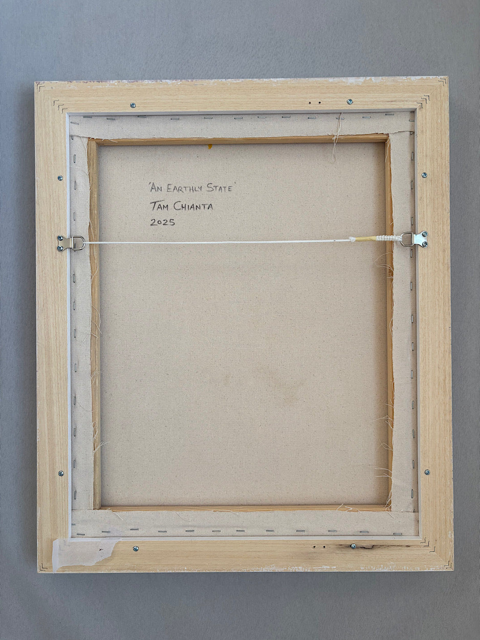 ‘An Earthly State’ - Framed Painting on Canvas